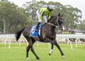 Ellerslie on the radar as Lees eyes double