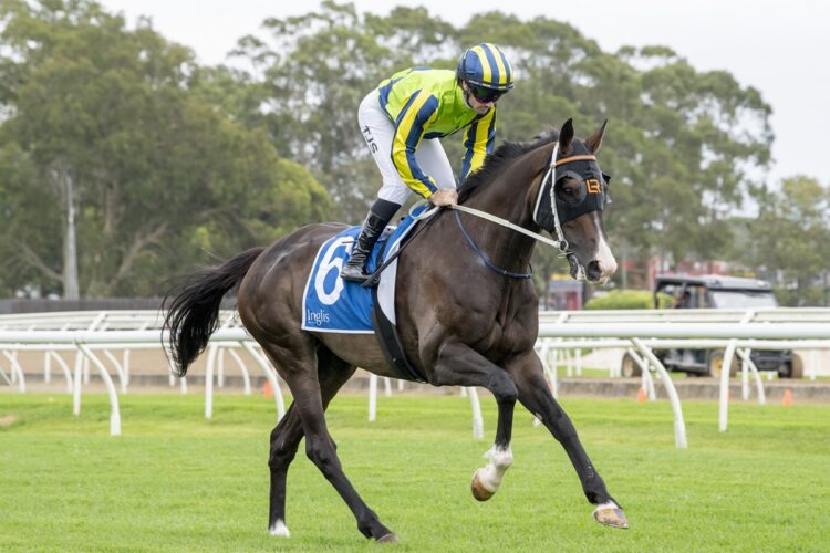 Age Of Sail [Bradley Photos]