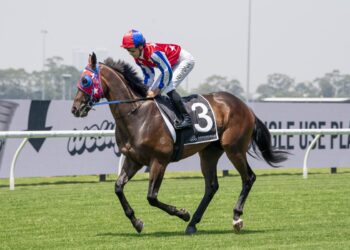 J-Mac seeks and secures Pierro Plate ride, Payne hits back at ‘test pilot’ jibe