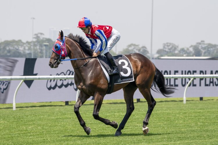 Persian Wonder [Bradley Photos]