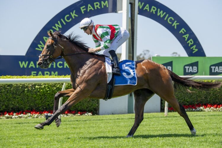 Journeyman [Bradley Photos]