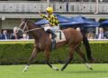 Unbeaten and unbothered: Chris Waller confident Autumn Glow will handle wet Randwick