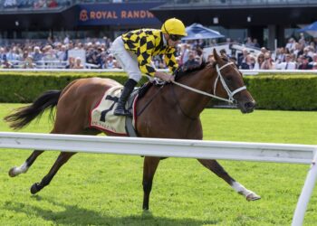 Autumn Glow [Bradley Photos]