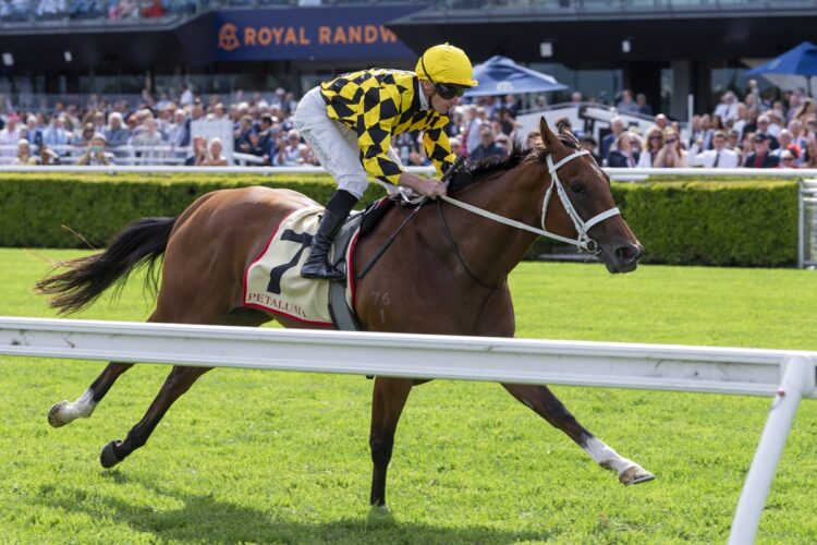 Autumn Glow [Bradley Photos]