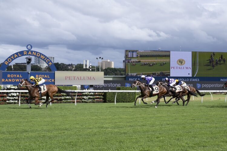 Autumn Glow wins the Apollo Stakes [Bradley Photos]
