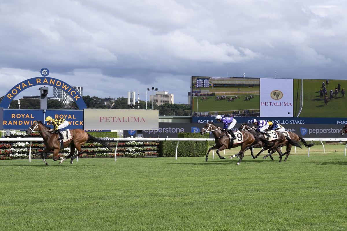 Autumn Glow wins the Apollo Stakes [Bradley Photos]