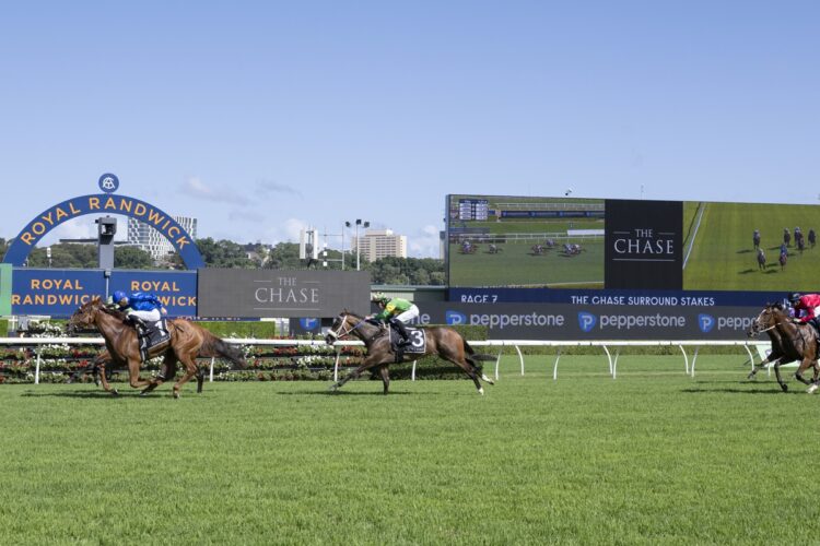Tempted wins The Chase Surround Stakes [Bradley Photos]