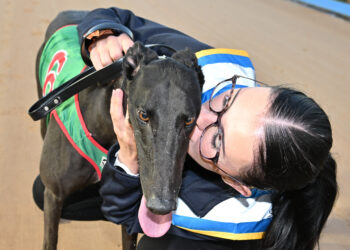 Jason Adams’ Meadows Tips: Australian Cup Carnival Week 2