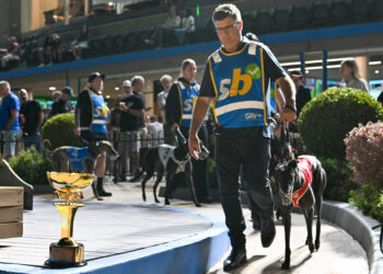 Australian Cup Night Preview: Jason Adams’ best bets for Group 1 showpiece at The Meadows