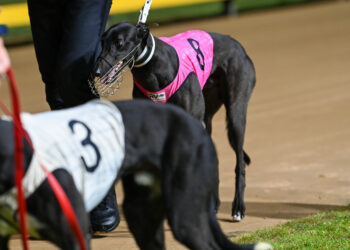 George Farrugia’s Sandown Tips