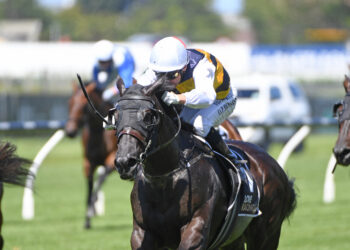 Askil (Credit: Kenton Wright - Race Images)