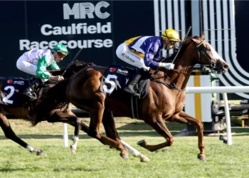 Gibbo went prospecting at the Doomben trials and found a few nuggets
