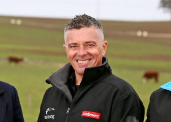 Free-to-air fuels Tasmanian racing surge as summer carnival shines