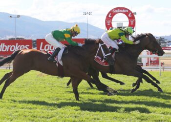 Hobart Cup run short after barrier placement error