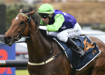 NZ Trial Watcher: Best Bets & Preview | Matamata Saturday