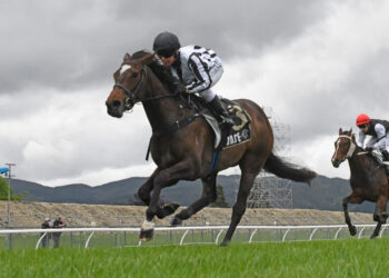 Betsy’s Best: Tauherenikau