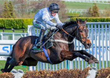 UK superstar Constitution Hill eyeing Melbourne Cup bid