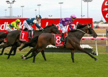 ‘It was a freak accident’: Anthony Darmanin targets return