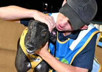 Speed, shocks and Slick Splits steals the show in Australian Cup semis