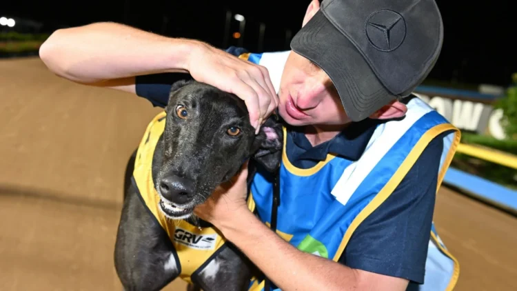 Dramatical (Photo: Clint Anderson)