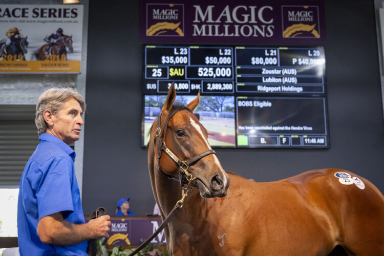 The filly, out of Stakes winner Lubiton, is a half-sister to Chayan, the Stakes-placed filly