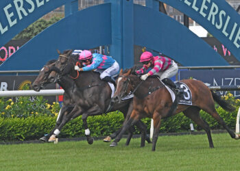 NZ Trial Watcher: Matamata Preview