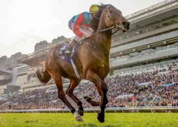 ‘He’s just getting better’: Ka Ying Rising breaks Hong Kong record with 18th straight win