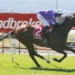 Betsy’s Set: Magic Millions Tasmanian Derby Day