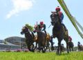 NZ Trial Watcher: New Plymouth Preview