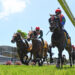 NZ Trial Watcher: New Plymouth Preview