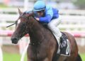Gibbo’s Blackbook: Wet track winners to follow at Eagle Farm