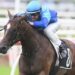 Gibbo’s Blackbook: Wet track winners to follow at Eagle Farm