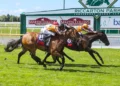 NZ Trial Watcher: Riccarton preview