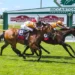NZ Trial Watcher: Riccarton preview