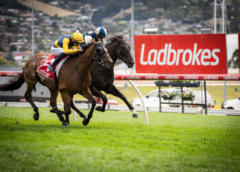 Hobart Cup: Runner-by-runner preview