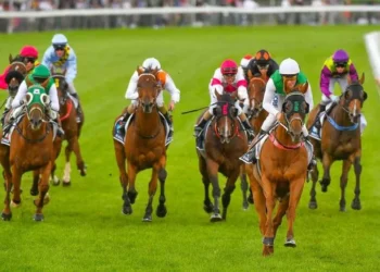 Steve Christie’s Hobart preview