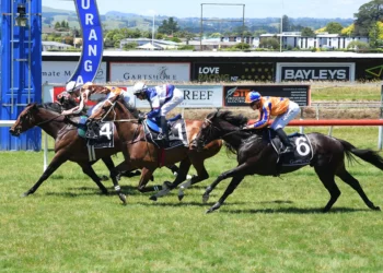 NZ Trial Watcher: Best of New Zealand Trials – Avondale, Foxton & Tauranga