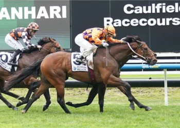 The Trial Files: Hobart preview