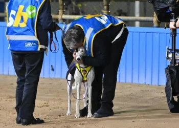 Injury blow for star stayer