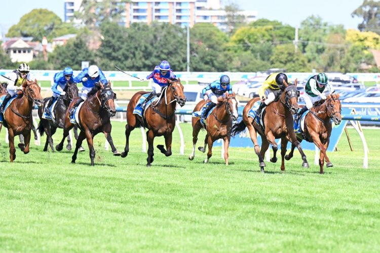 Streisand ridden by Ben Melham wins the Sportsbet Blue Diamond Stakes at Caulfield Racecourse on February 21, 2026 in Caulfield, Australia. (Photo by Pat Scala/Racing Photos)