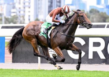 Slipper Twist for Hayes after Flemington win