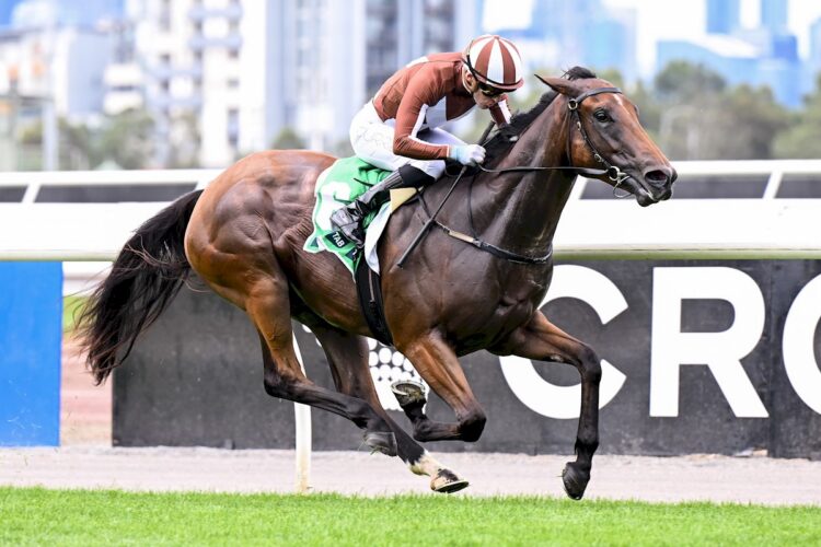 Gin Twist ridden by Luke Currie wins the at Flemington Racecourse on February 28, 2026 in Flemington, Australia. (Photo by Pat Scala/Racing Photos)