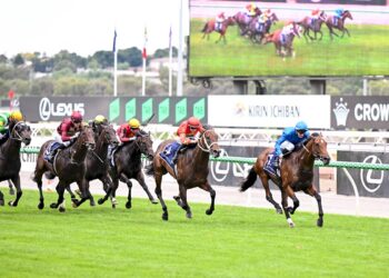 Beaten jockeys: Australian Guineas