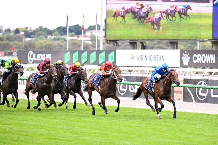 Observer ridden by Ethan Brown wins the Australian Guineas at Flemington Racecourse on February 28, 2026 in Flemington, Australia. (Photo by Brett Holburt/Racing Photos)