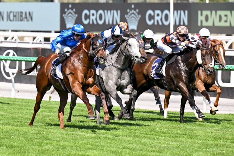 Tentyris ridden by Damian Lane wins the Black Caviar Lightning at Flemington Racecourse on February 14, 2026 in Flemington, Australia. (Photo by Pat Scala/Racing Photos)