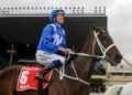 Winx prodigy sidelined: Mystery setback forces colt out of sale