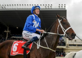 Winx prodigy sidelined: Mystery setback forces colt out of sale