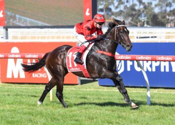 Dean Yendall Eyes $4m Kiwi Glory with Asakura in New Zealand Raid