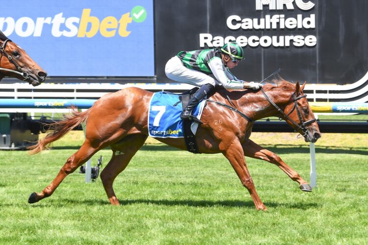 Closer To Free ridden by Michael Dee wins the Sportsbet Blue Diamond Prelude (C&G) at Caulfield Racecourse on February 07, 2026 in Caulfield, Australia. (Photo by Brett Holburt/Racing Photos)