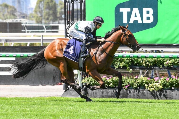 Hard Kick impressed on debut. (Credit: Racing Photos)